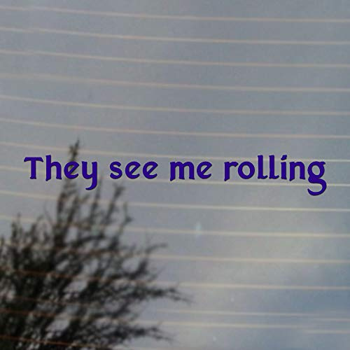 Cosplay & Fan Gear They See me Rolling dice Dungeons Dragons RPG Pen and Paper Gaming Vinyl Decal (Very Purple)