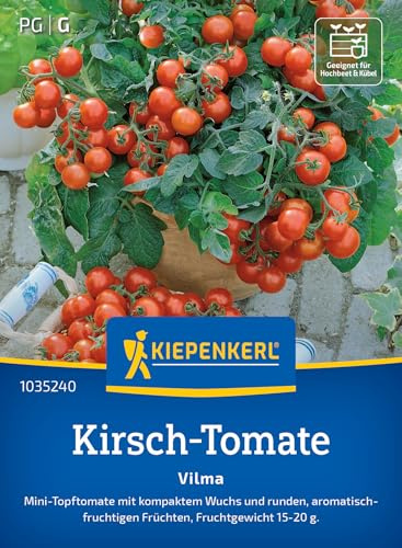 Kiepenkerl Kirsch-Tomatensamen Vilma 1035240, Gemüsesaat | Kompakter Wuchs, aromatisch- fruchtig, für Hochbeet, Freiland & Topf