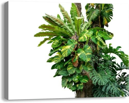 Bathroom Canvas Wall Art for Living Room Bedroom Kitchen Office Rainforest tree trunk tropical foliage plants Monstera golden pothos Framed Prints Pictures Wall Decor Posters Painting Artwork 20x16