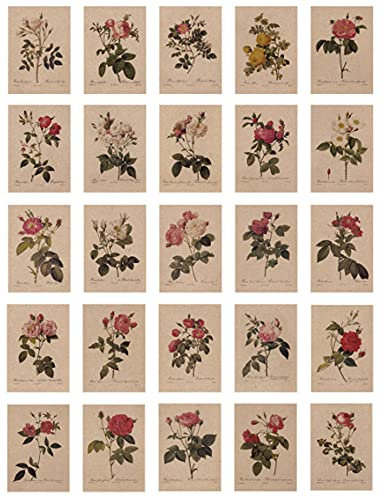 24 Blatt Postkarten, Vintage Postkarten, mit schöner Blumensprache gedruckt auf Kraftpapier, Liebe, Freundschaft, Leben, Motivation Grußkarten - Rose