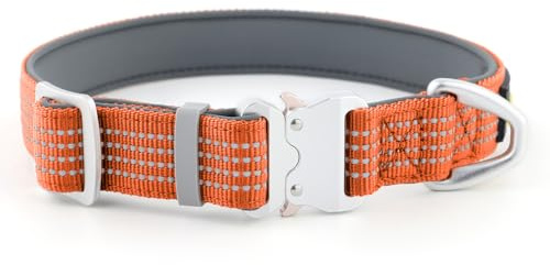 Plutus Reflekterande hundhalsband för husdjur med flygande aluminiumspänne, neopren vadderad för komfort, lätt, slitstarkt nylonhalsband för valp små medelstora hundar (orange, S)