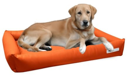 dogsfavorite, Hundebett Starter aus Kunstleder, Hundekissen, Pflegeleicht, 100 x 75 cm, orange