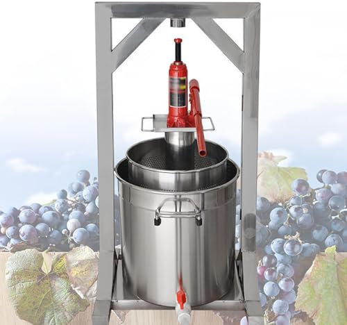 XDTKJDZ Presse À Vin Manuelle pour Fruits, 12 L, Presse À Cidre De Pomme, Vérin Hydraulique, Vérin Sec À Pression De 2 Tonnes, pour Jus De Légumes, Vin, Huile d'olive, Miel