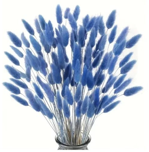 deegbbyi 120 Pezzi Erba di Pampa Secca, Decorazione di Erba Della Pampa Essiccata Blu, Fiori Secchi di Coda di Coniglio, Decorazione in Stile Bohémien, Adatto per Casa, Matrimoni, Festival, Feste