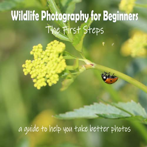 Wildlife Photography for Beginners - The First Steps: a guide to help you take better photos