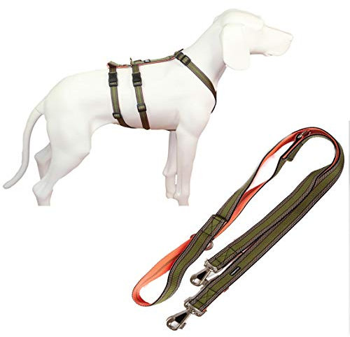 Feltmann NoExit Hundegeschirr® - ausbruchssicher, Panikgeschirr, Khaki Muster, Bauchumfang 70-90 cm, 25 mm Bandbreite, mit passender Führleine 210 cm, 3-Fach verstellbar