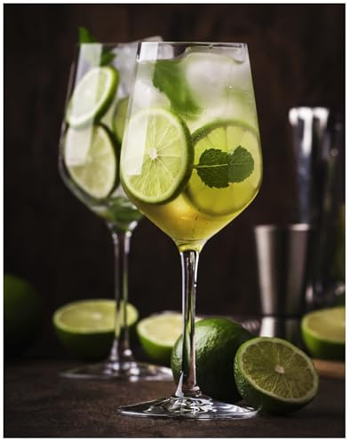 Topkapi 250.905 Gin Momento Lot de 6 Verres à gin Tonic Ballon de la série Bar & Lounge 630 ML XL