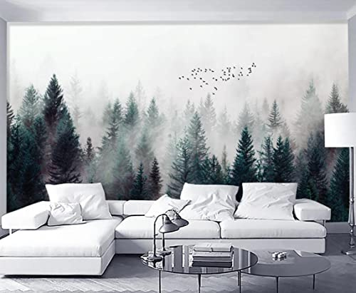 Papier Peint Nuages De Forêt Et Oiseaux Papier Peint Panoramique 3D Murale Tableaux Muraux Décoration