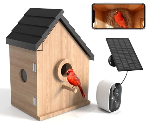 Comedero Aves Exterior: Caja nido mensajero al aire libre Bebedero Pájaros silvestres IP66 - Niños Padres Regalos para amantes de los Pájaros