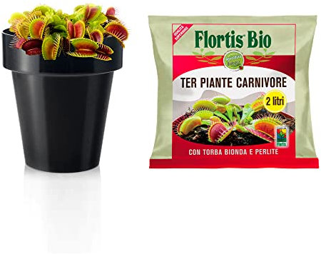 Kalapanta - Kit per rinvaso piante carnivore con vaso e terriccio biologico specifico (Nero)