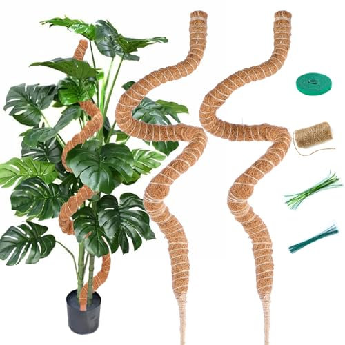 SUNXIZ 2Stück 120cm 47 inch Moosstab für Monstera lang Biegsame Kokosfaser Rankhilfe Pflanzstab für Kletterpflanzen Indoor Pflanzenstütze mit Twist Ties Pflanzenband