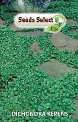 DICHONDRA REPENS BARATTOLO GR 500