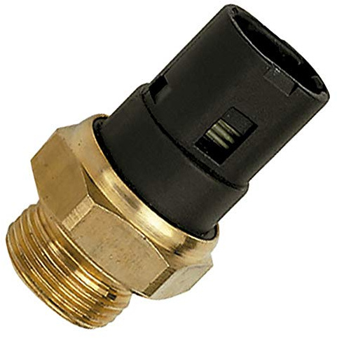FAE 37250 Interruptor de Temperatura, Ventilador del Radiador