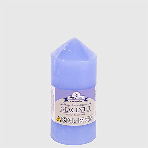 La Briantina Dream Line Decorative Scented Candle, 11 x 5 cm, Purple, Hyacinth Perfume