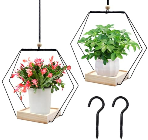 FOGARI 2er Set Blumenampel Hängend 30cm – mit Holz & Titanring | Holzsockel 12,5×12,5×3 cm, Titanstahl-Ring rostfrei, für Sukkulenten & Kaktus, Wohnzimmer & Balkon, pflegeleicht