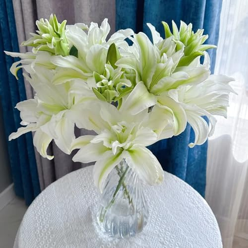 Lilium, wohnzimmer deko balkonpflanzen für sonnige plätze herbstblumen winterhart wildblumensamen garten blumensamen 150Samen