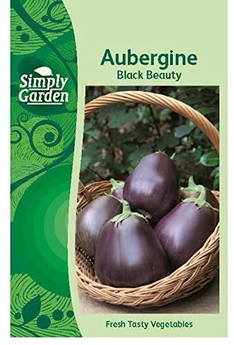 Aubergine Black Beauty Seeds Grow Your Own Vegetables Simply Garden