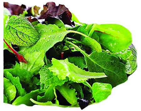 Park Seed Organic Salad Greens Seed Mix – Assorted Lettuces, Arugula, and Mustard Greens for Cool-Season Growing, Fresh Flavorful Blend for Home Gardens or Containers, Pack of 200