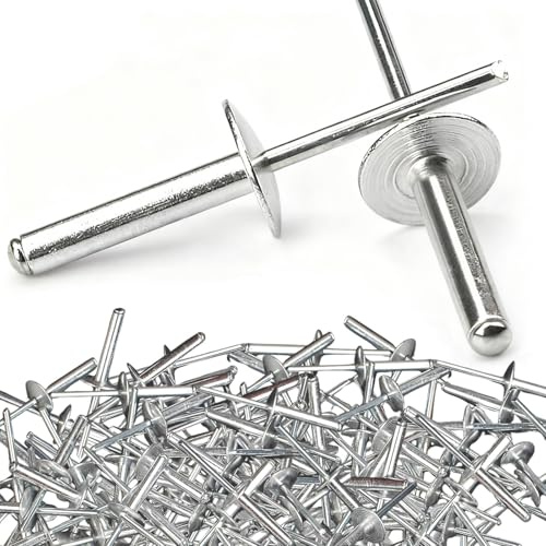 Dayalo 100 Stück Eisen Aluminium Blindnieten mit Großem Flansch 4,8x16mm, Popnieten Set 4,8mm, Großkopf Nieten für Möbel, Auto, Industrie