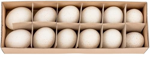 NaDeco Truthahneier Natur 12 Stück, ausgeblasen & gereinigt, Ostereier Ostern Osterdeko Deko Dekoration Osterdekoration, Dekoeier zum basteln & bemalen, Eier Truthahn-Ei Frühling Putenei Tischdekoㅤ