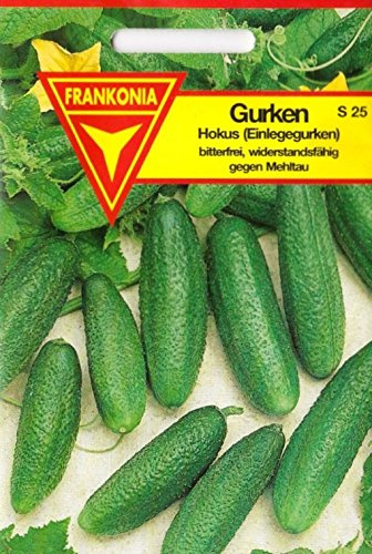 Einlegegurken, Hokus, bitterfrei, ca. 30 Samen