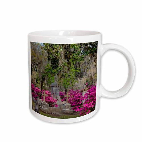 3dRose USA, Georgia, Savannah, Azaleas & headstones 11oz Mug