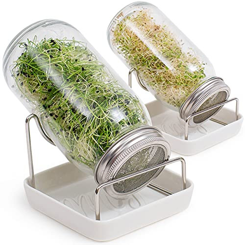 My Greens Sprouting Jar Kit | 2 breite Mund-Einmachgläser mit Siebdeckel, Ständer und Anleitung zum Keimen von Samen, Bohnen und Getreide | Sprossen-Anzucht-Set inkl. E-Book für Anfänger