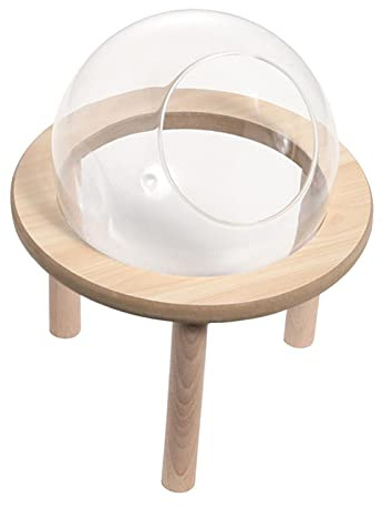 Bac à sable transparent pour hamster, lapin, animaux domestiques, souris, 15 cm
