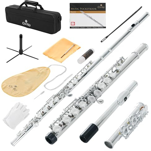 Cecilio Closed Hole C Flute - Musical Instrument, Beginner/Intermediate Flute in Band & Orchestra, Nickel
