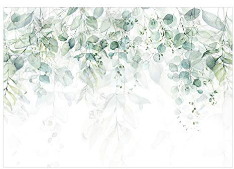 murando Fotomurales Hojas 350x256 cm XXL Papel pintado tejido no tejido Decoración de Pared decorativos Murales moderna Diseno Fotográfico Oficina Naturaleza Plantas Como Pintado b-C-0615-a-b