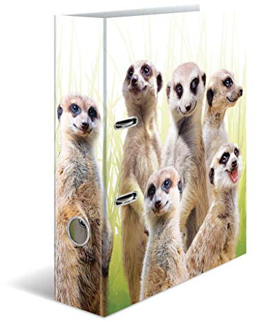 HERMA Ordner A4 Erdmännchen, 7 cm breit, Kinder Ringordner mit Tier Motiv, bunter Aktenordner mit Innendruck für Jungen und Mädchen