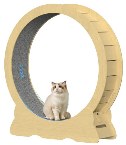 Tapis Roulant per Gatti, 132cm Ruota da Corsa per Gatti in Legno, Ruota per Esercizi per gati, Super Silenzioso, Tapis Giocattolo per gati in Casa (Naturale, XXL)
