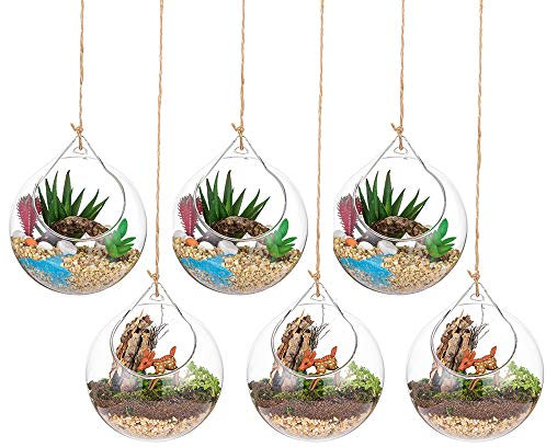 Glasseam Terrarium en Verre Suspendu 6 Pièces Grande Ouverture Vase Plante Boules 10cm Fleur Vase Pot Boules De Verre Creativesverre la Conception de Bricolage de Jardin de Mariage à la Maison