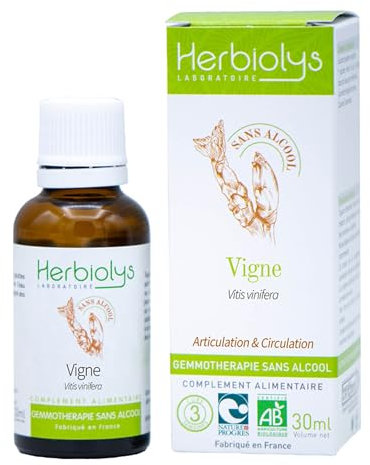 Macérât De Bourgeon Bio | Sans Alcool | Gemmothérapie | Flacon de 30 ml | Herbiolys (30 ml, Vigne)