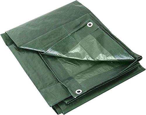Labor TELONE OCCHIELLATO GR.180 VERDE 6 x 8