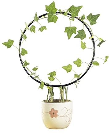 Pflanzenhalter Rankhilfe Rankgitter Metall Pflanzenstützstäbe für Garten Pflanzenstütze Zimmerpflanze Efeu Rankhilfe Gartengitter für Topfpflanzen Rankhilfe für Efeu, Pflanzen, Rosen (Runde)