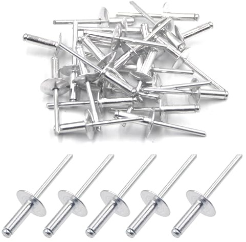 BESTYCHAO 50 Stück Aluminium-Blindnieten mit großem Flansch 4,8mm x 16mm, 50er-Pack (Silber)