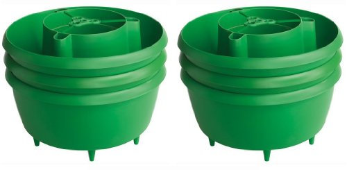 Two Wests & Elliott Plant Halos - Pack 6, Green