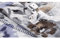 Brother Blindstichfuß (Overlock) für 2104D 3034D 1034D 1134D 4234DT 5234PRW, Kunststoff, X76590-002