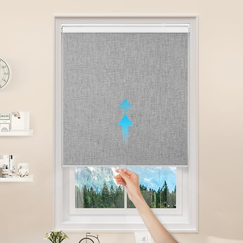 GENIMO 100% Blackout Roller Window Shades, Window Blinds Cordless with Thermal Insulated, UV Protection Fabric, Mini French Door Blinds for Home, Bedroom, Office, Grey, 10 W X 72 H