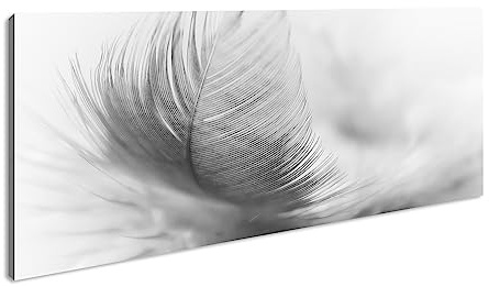 Leinwandbild Leichtigkeit einer Feder – Schwebend durch die Lüfte Panorama Format: 120x60 cm Effekt: Schwarz&Weiß XXL Kunstdruck Bild auf Keilrahmen/Wandbild/Wohnzimmer Deko