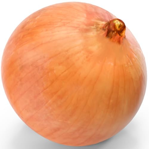 Welldales 50 Spanish Giant Onion Seeds Large Brown Sweet Exhibition Vegetables to Grow