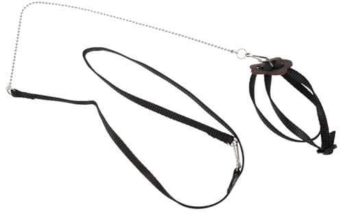 Happyyami Schildkrötenleine Schwarz Reptilienleine Haustier-trainingsleine Schildkröten-trainingsleine Verstellbares Zugseil Für Schildkröten Eidechsen Lauftrainingsseil Mit Ring Für Einfach