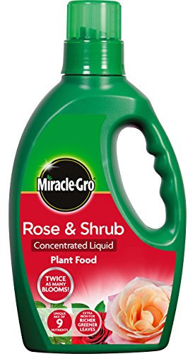 Miracle-Gro 100067 Rose and Shrub Concentrated Liquid Plant Food 1L, Green