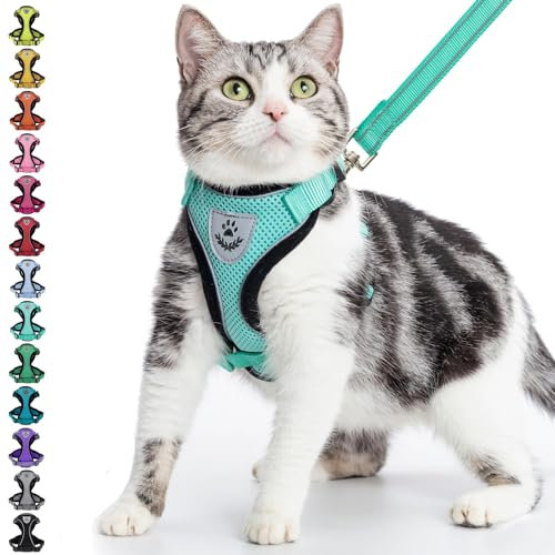 PUPTECK Katzengeschirr und Leine Set Fluchtbeweis Reflektierendes Katzengeschirr Einstellbare Weiche Atmungsaktive Mesh-Weste f¨¹r kleine Haustiere, Aquamarin, S