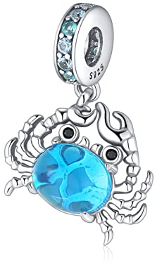 Jokmeo 925 Sterlingsilber Charm Anhänger Perle, passend für Pandora & europäische Armbänder und Halsketten, modischer Schmuck für Frauen.
