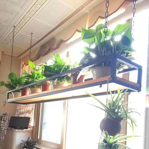 Indoor & Outdoor Plant Shelf Hanging Ceiling Rack with Chain Metal & Wood Black Various Sizes (60 cm) - Stylish Support for Home Decor and Gardening