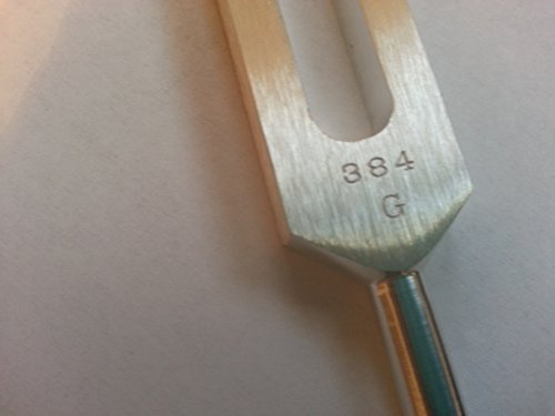SWB 256 Tuning Forks