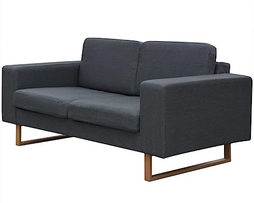 Frdhee Couch, Polstersofa, Couch Jugendzimmer, Polstersofa, Sofa 2-Sitzer Stoff Dunkelgrau Fürs Wohnungen, Schlafzimmer, Balkon, Einfache Montage