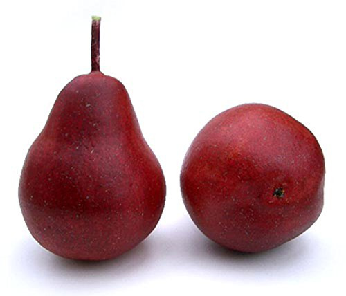 Artificial 4 Pear, Red, Box of 12 Fake Decorative Fruit